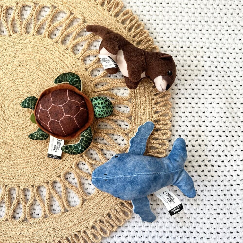 National Geographic Kids Bundle Lot 3 Stuffed Mini Plush Turtle Whale Otter